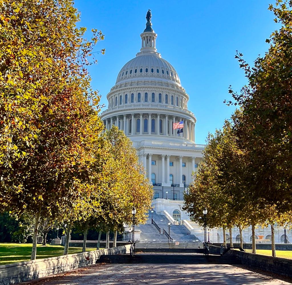 weed-in-washington-d-c-weedyhigh